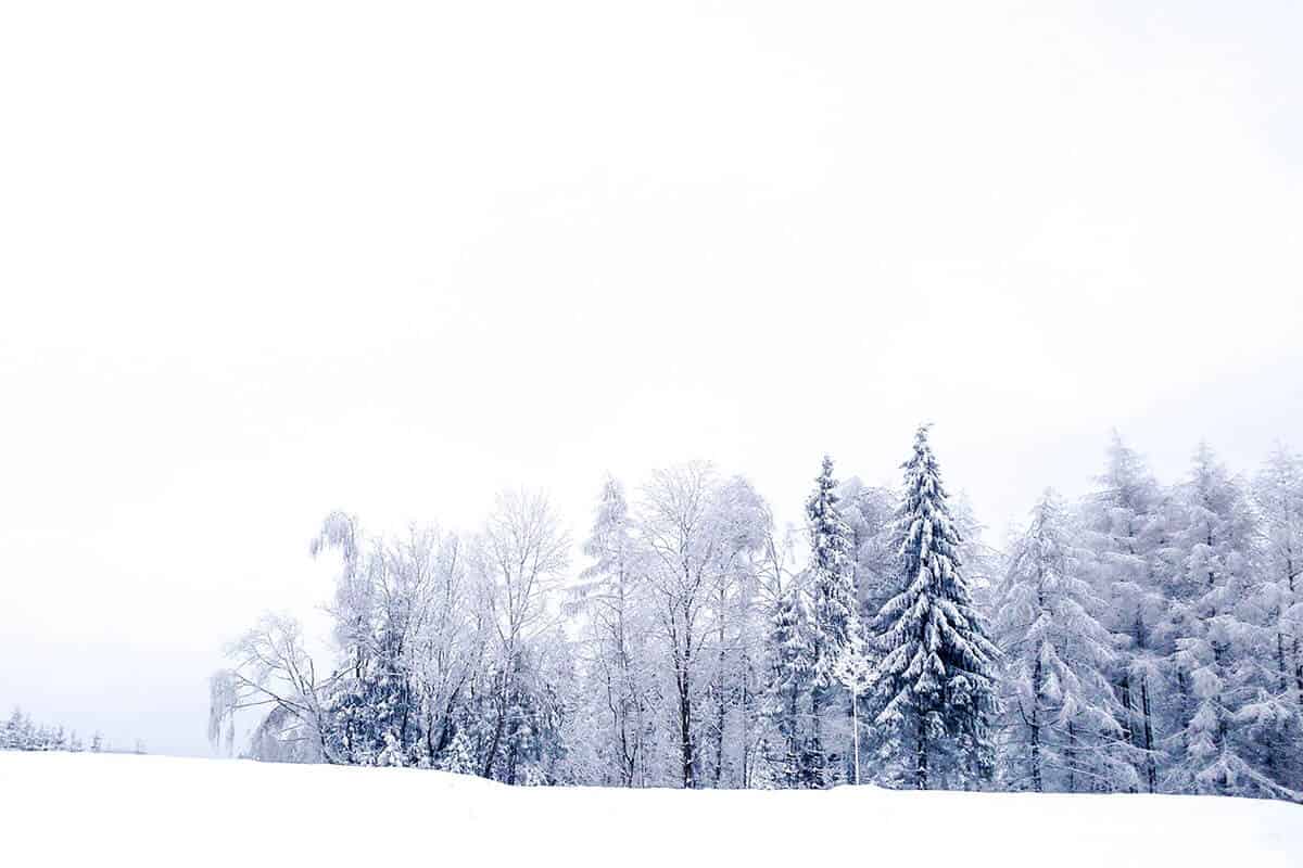 Winterwonderland im Hunsrück