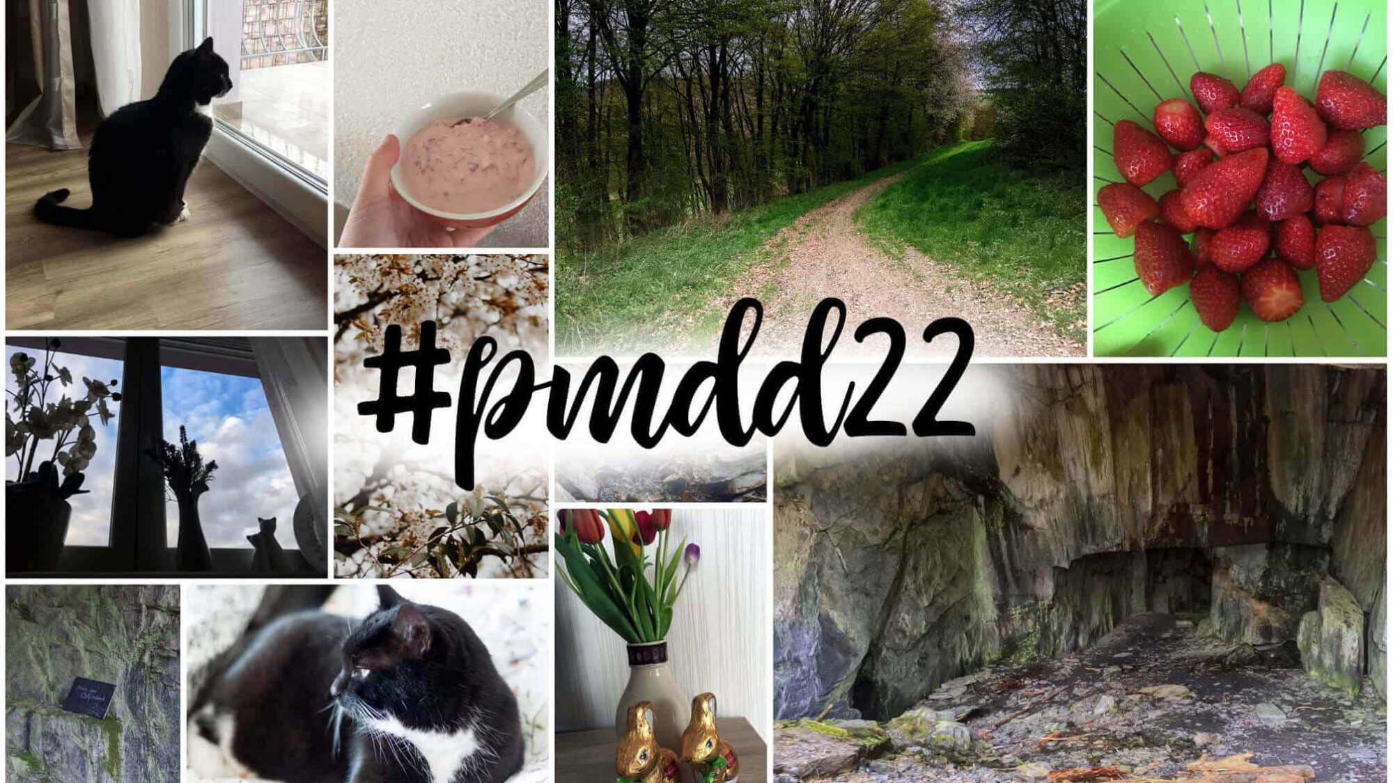 pmdd22 - Picture my Day Day Nummer 22