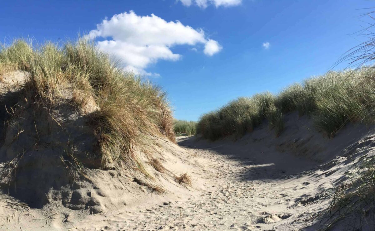 Mit der Arbeit nach Ameland Betriebsausflug » helene.ninja