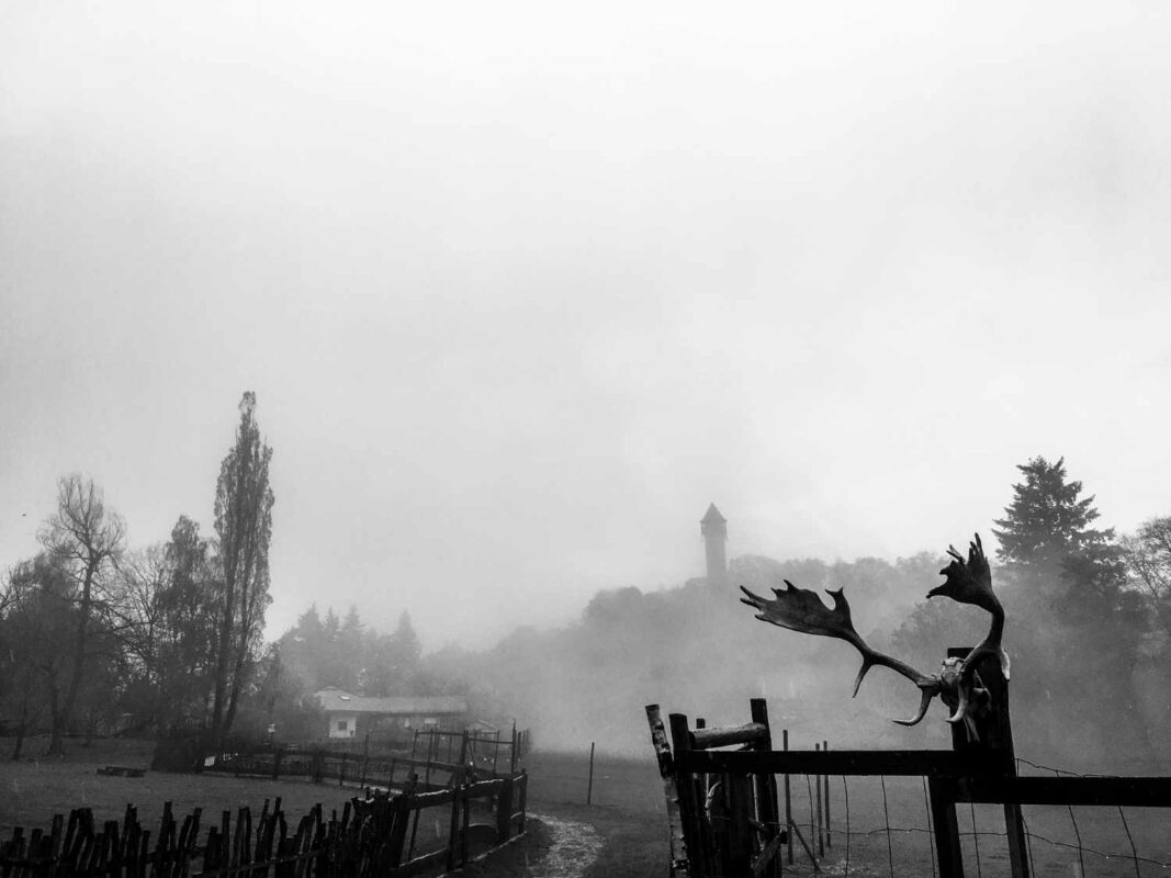 Blick auf die Burg Wildenburg